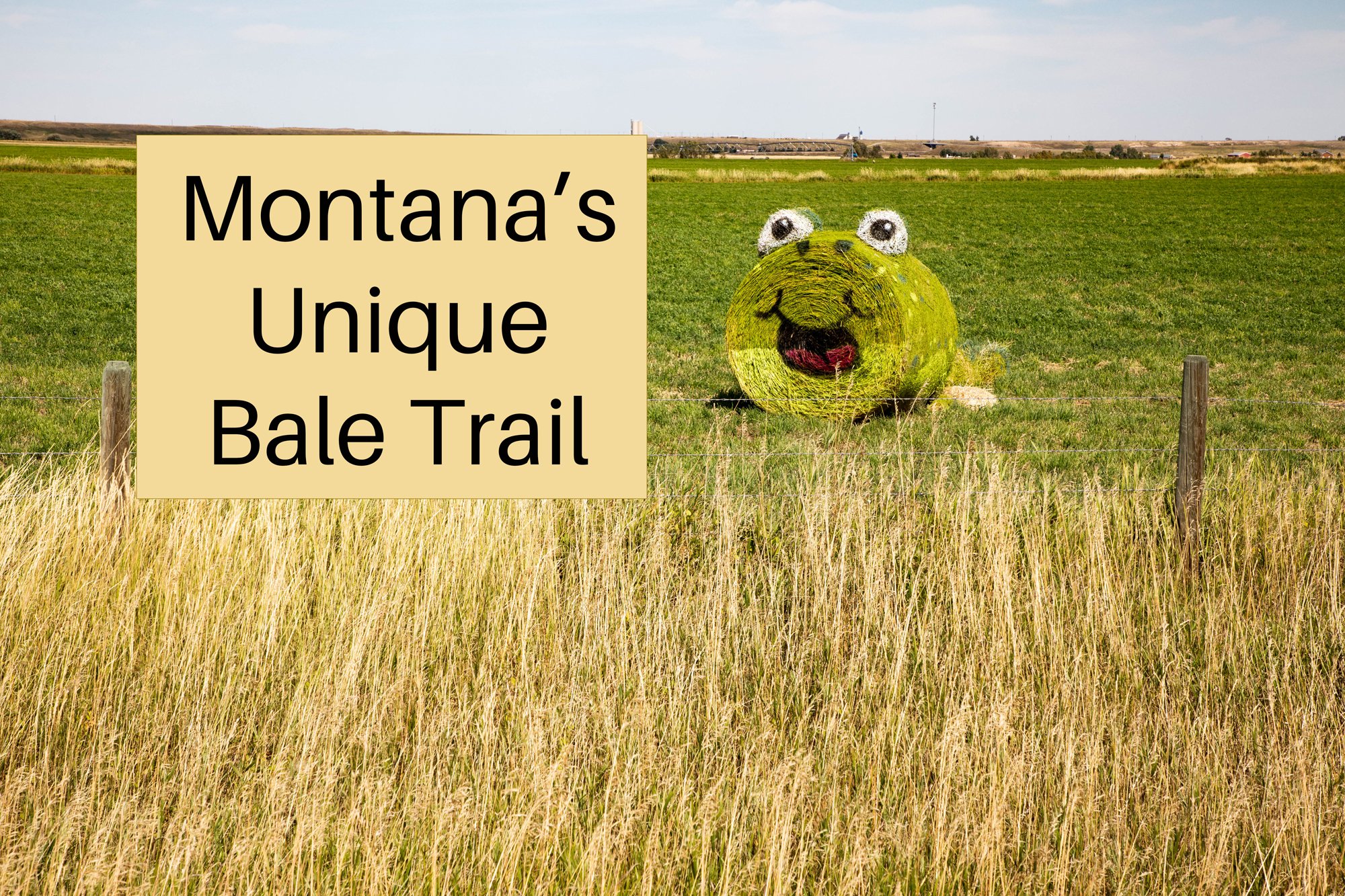 Frog and Montana's Unique Bale Trail