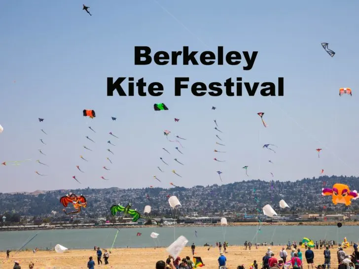 Berkeley Kite Festival, kites flying.