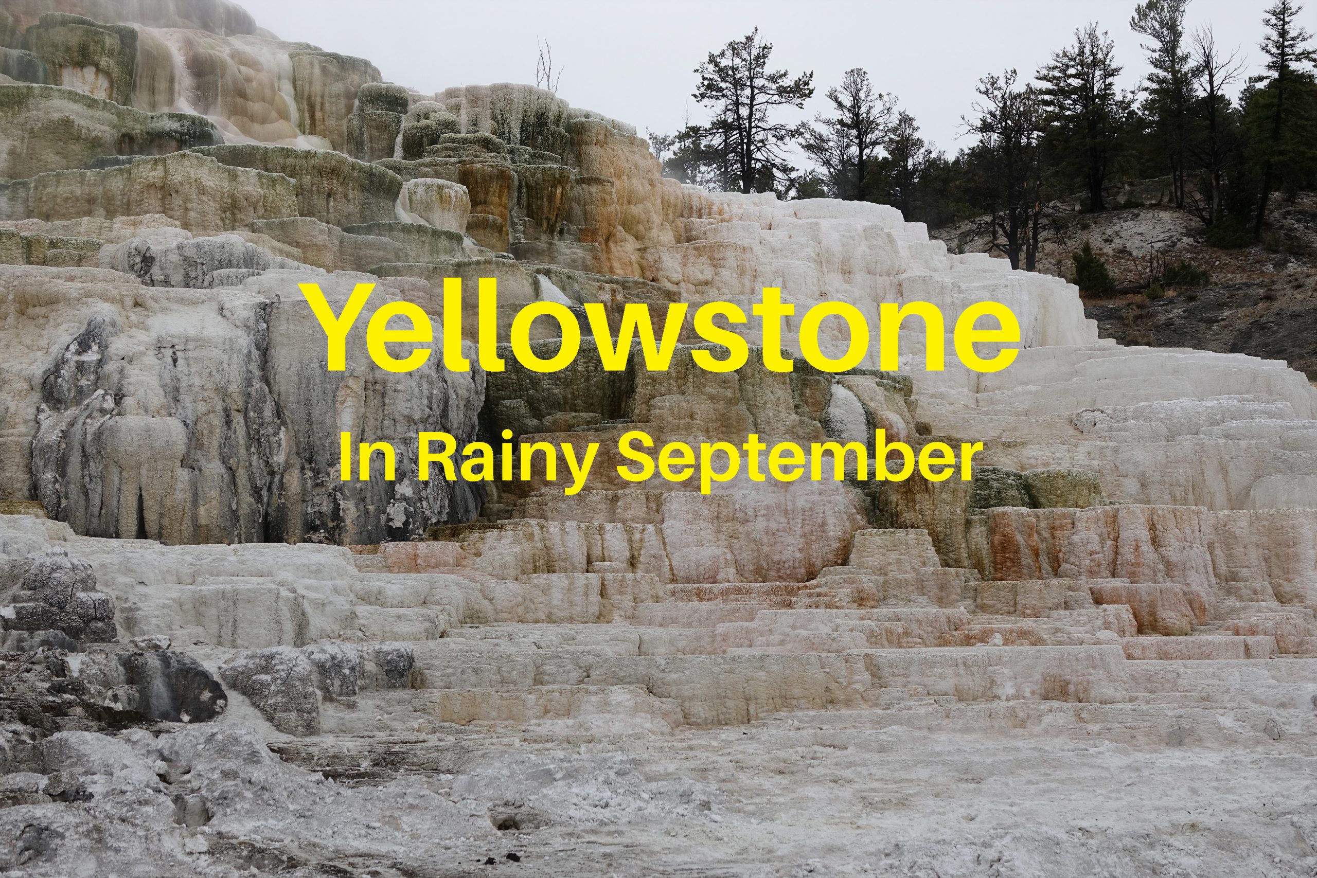 Yellowstone in rainy September overlooking the terraces at Mammoth Hot Springs.