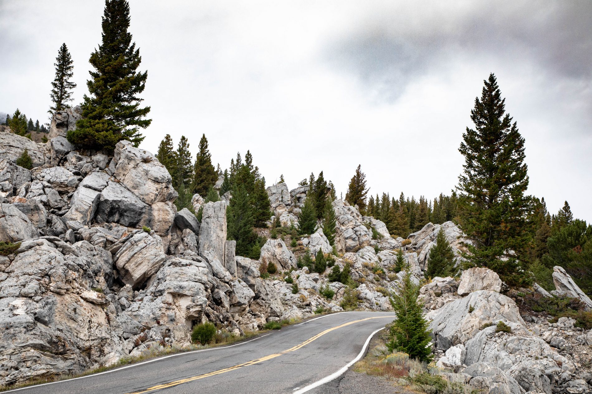 A huge jumble of giant boulders and petrified wood along the road near Yellowstone Hot Springs in Mammoth.