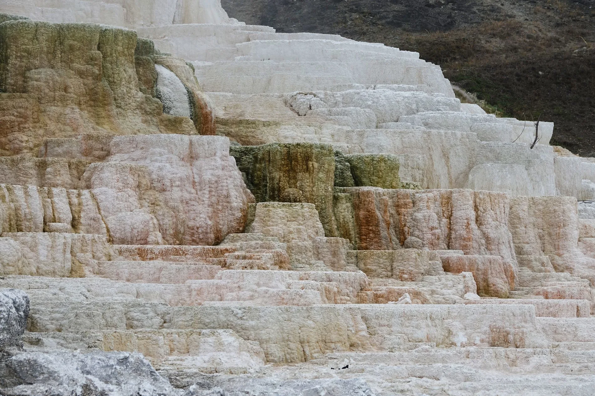 Mammoth Hot Springs Terraces in Yellowstone in September.