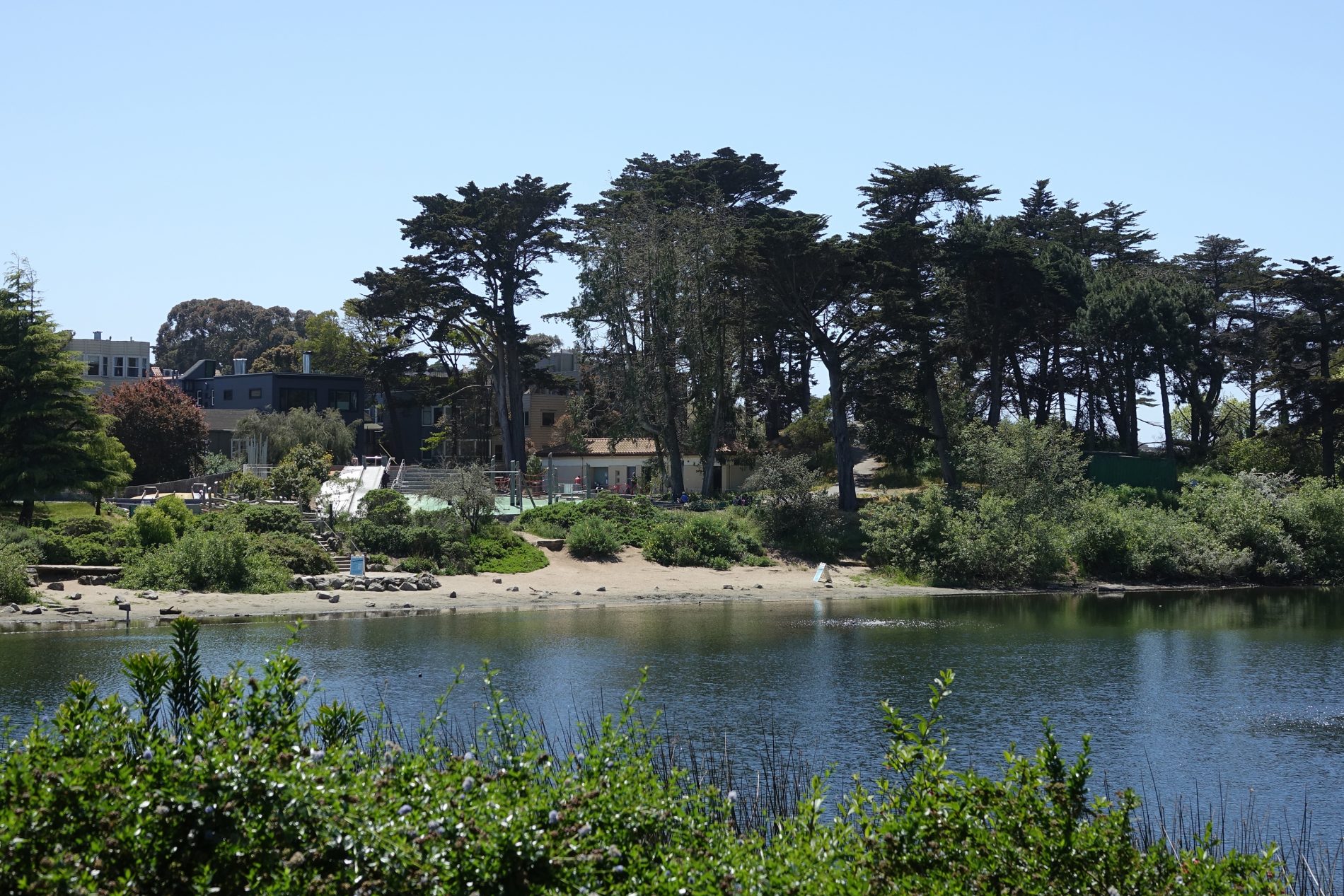 View of Mountain Lake beach from Mountain Lake Presidio Trail, San Francisco.
