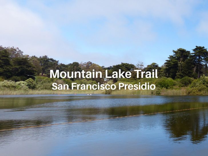 Mountain Lake viewed from Mountain Lake Trail, a great Presidio hike in san Francisco.