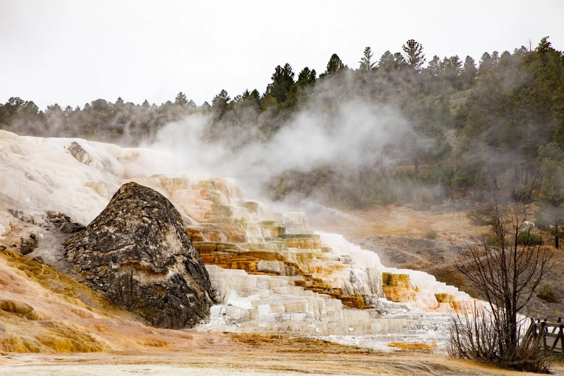 Steam rising from Yellowstone Hot Springs at Mammoth Terraces.