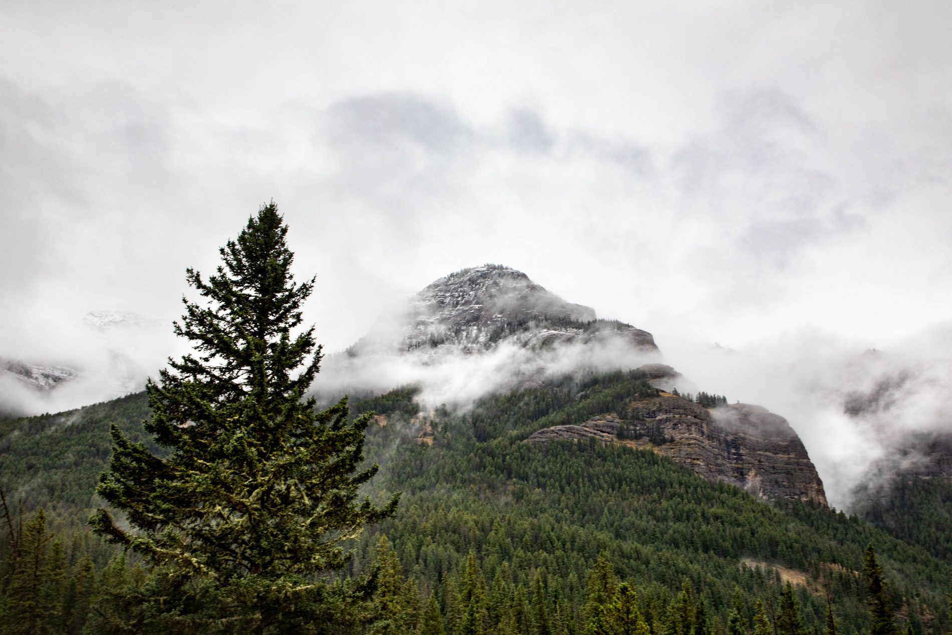 Clouds surround a distant peak in Yellowstone in September.