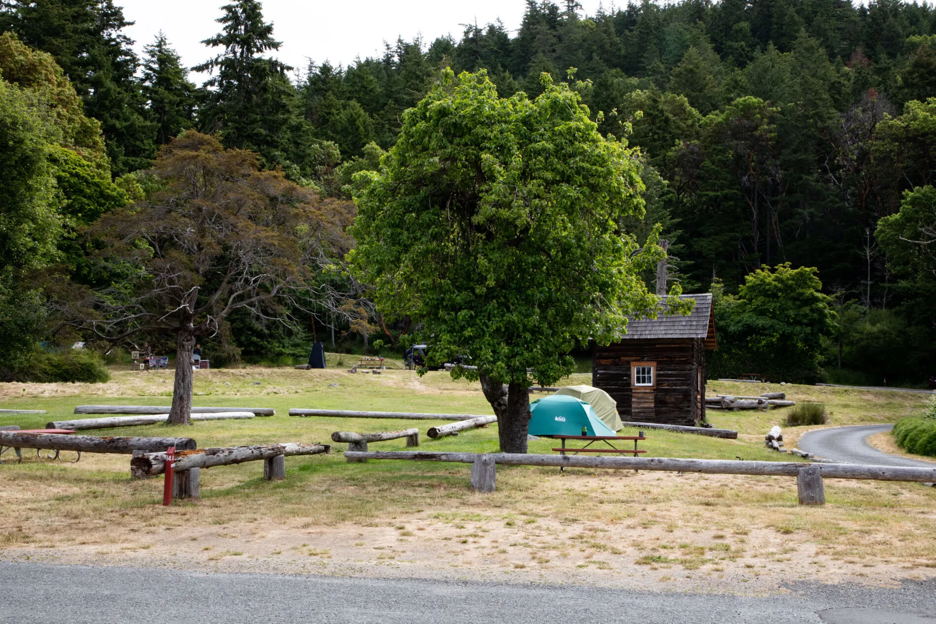 Camping on San Juan Island in tents at the country campground.