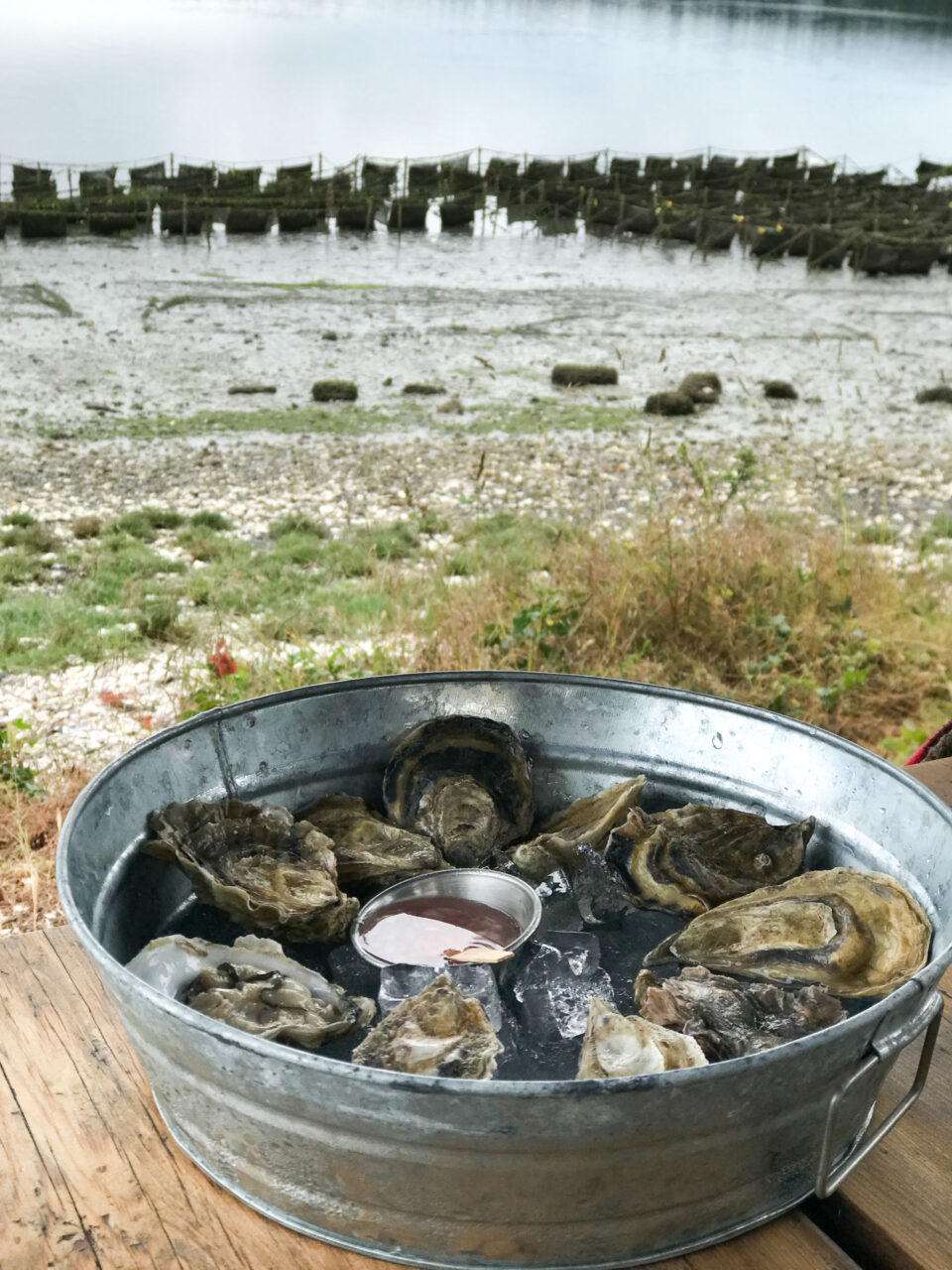 One of the best restaurants is the Westport Shellfish Co, where you can eat the fresh-farmed oysters.