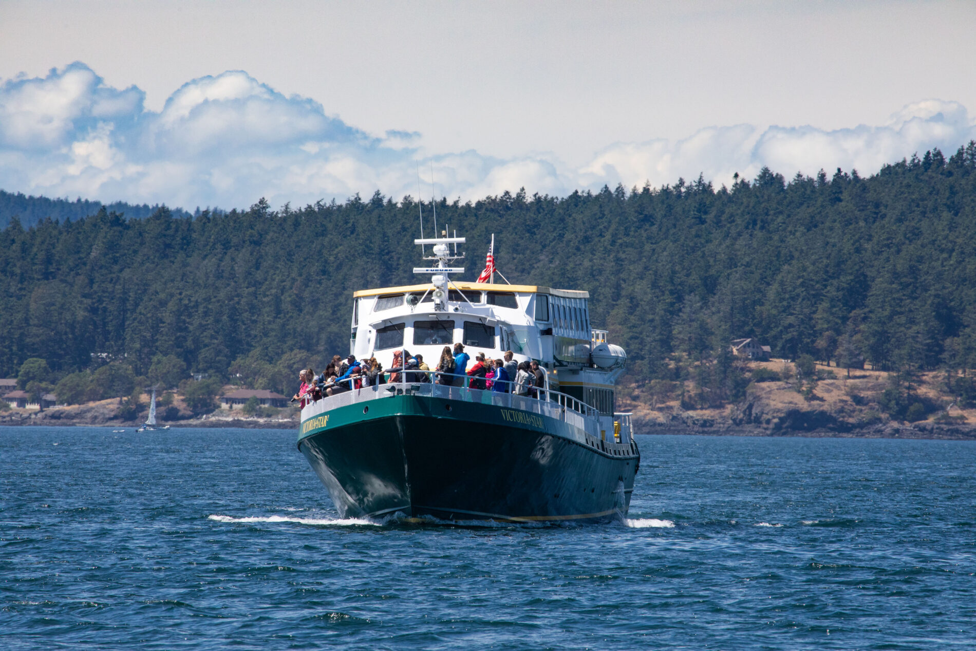 Whale watching cruises leave frequently out of Friday Harbor. This is one of the bigger boats, but there are options for everyone's needs and wants.