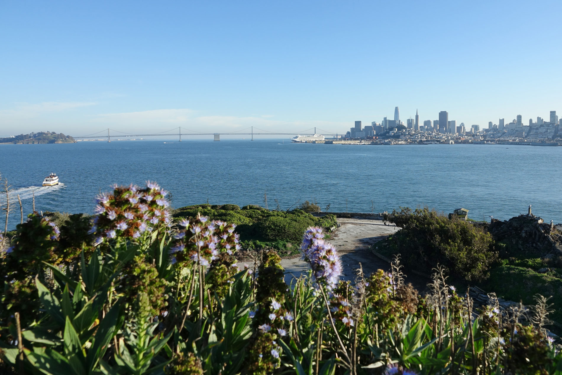San Francisco Bay and city skyline viewed from Alcatraz Island.
