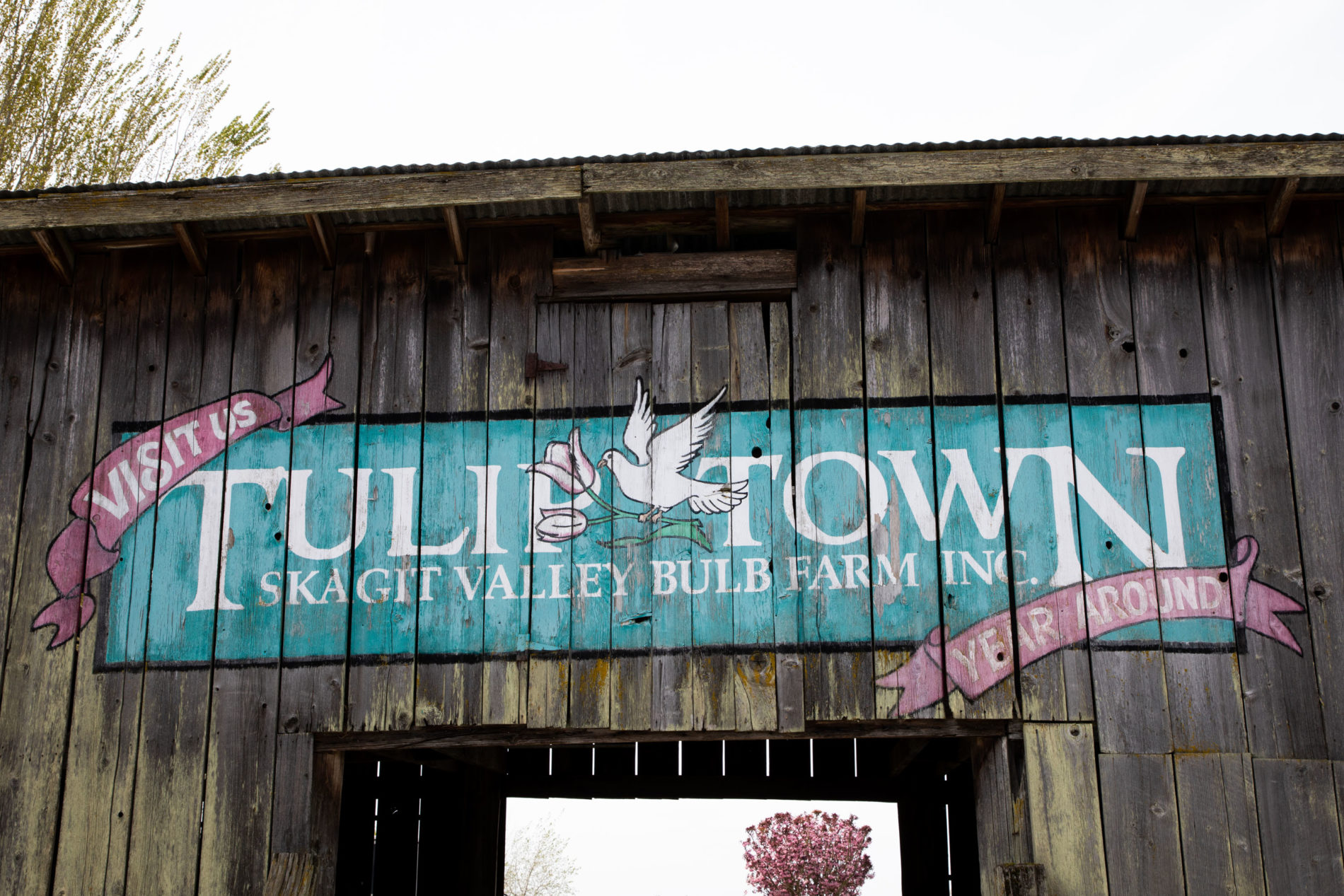 Tulip Town entrance.