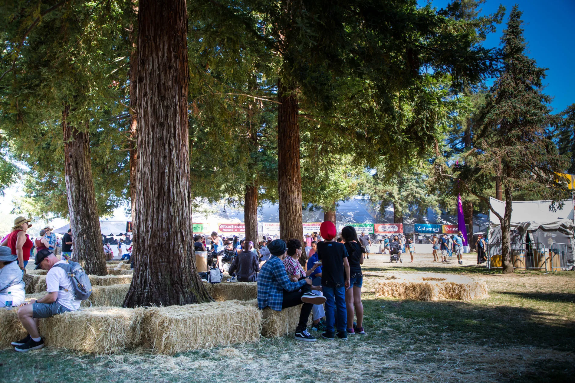 It's hot in California in summer, and luckily there are some trees with hay bales under them so you can get out of the heat.