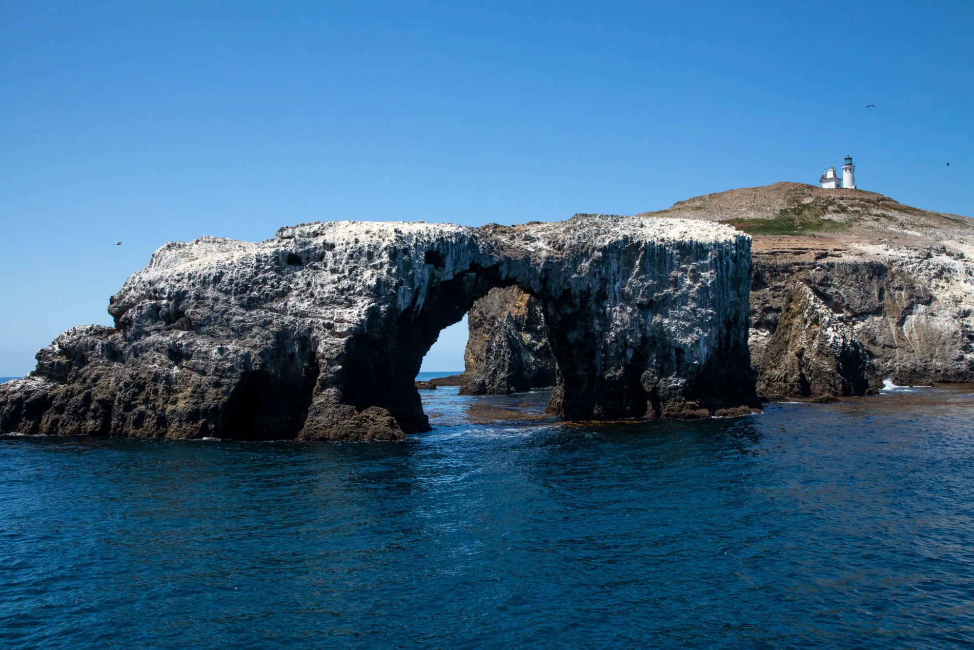 The Channel Islands National Park is only about an hour off of the I-5, and is an iconic spot to visit in California.