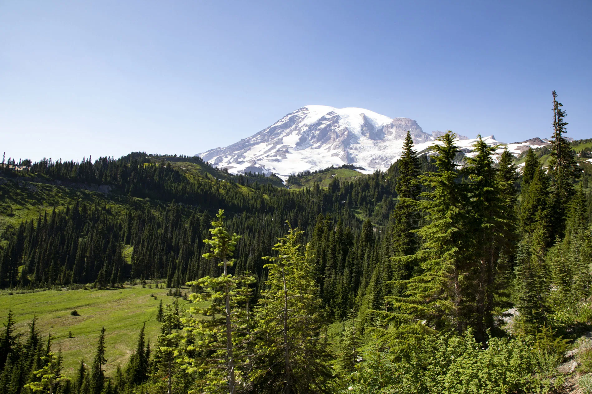Mt. Rainier peaking over a verdant valley, Washington.
