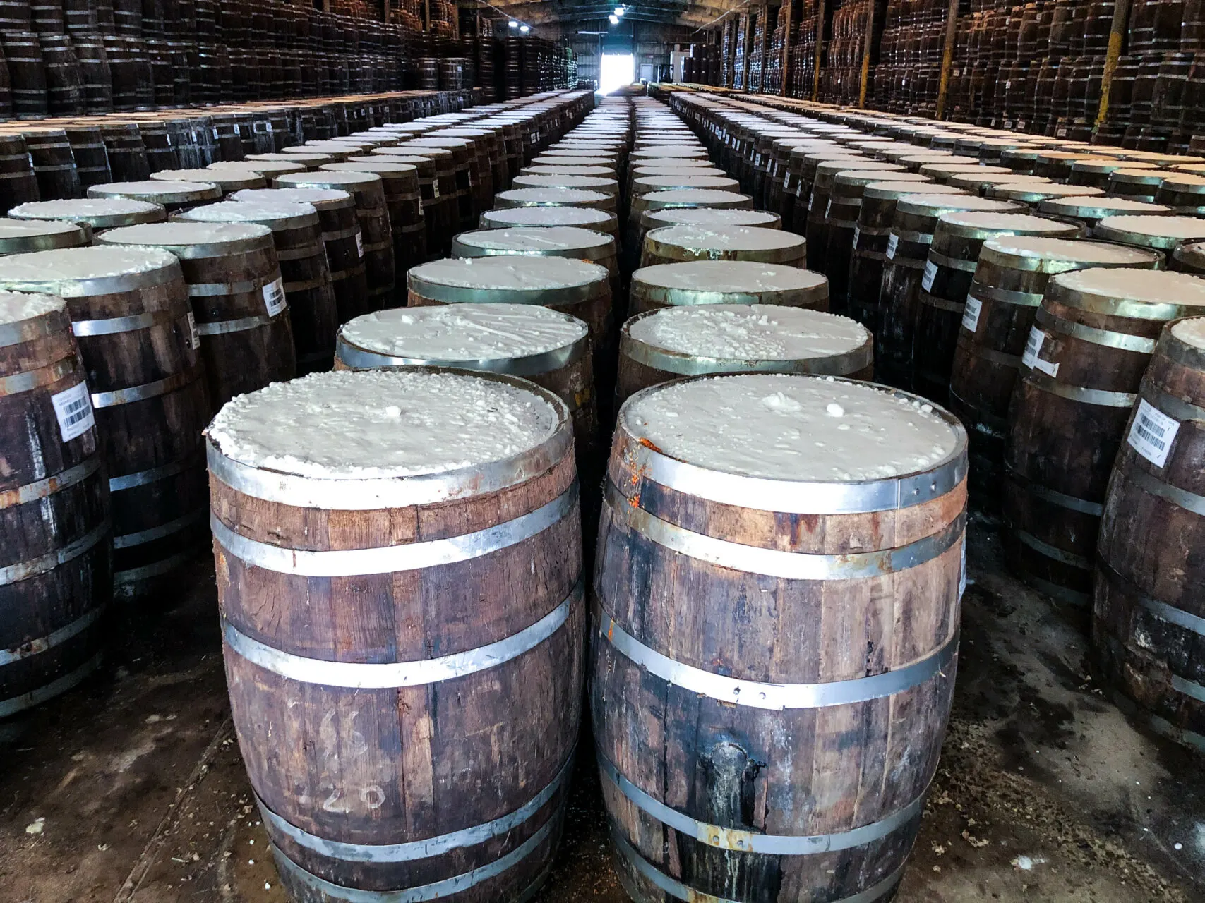 Long rows of barrels filled with pepper mash and capped with salt are fermenting in the Tabasco warehouse.