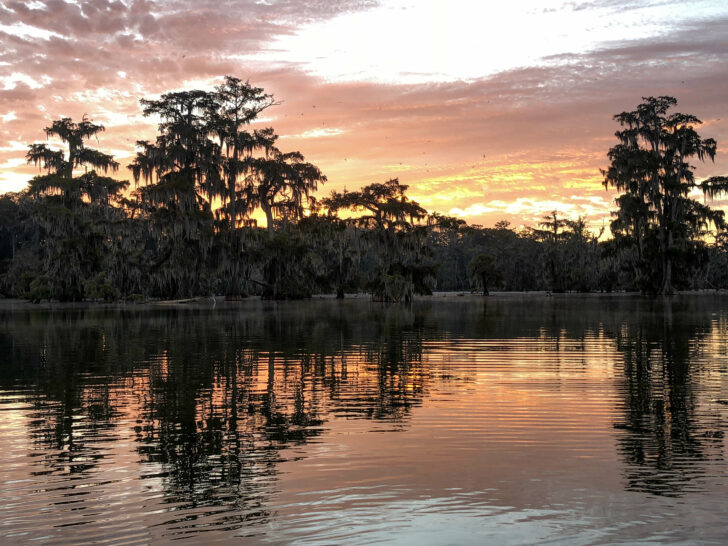 Sunrise over Lake Martin, Louisiana.