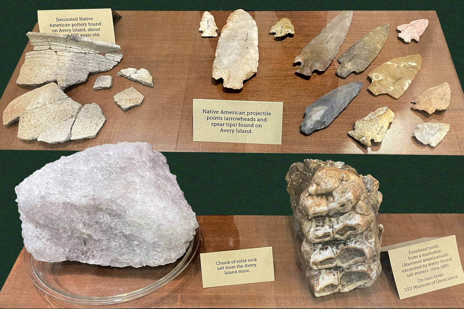 Artifacts, including a mastodon tooth and Native American arrowheads on display in the Tabasco Museum on Avery Island.
