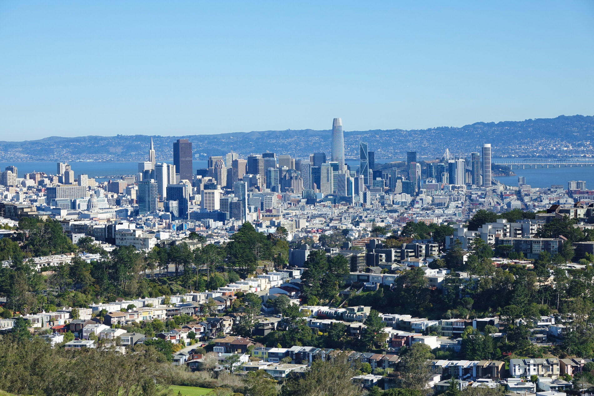 Overlooking San Francisco skyline from viewpoint on Mt. Davidson.
