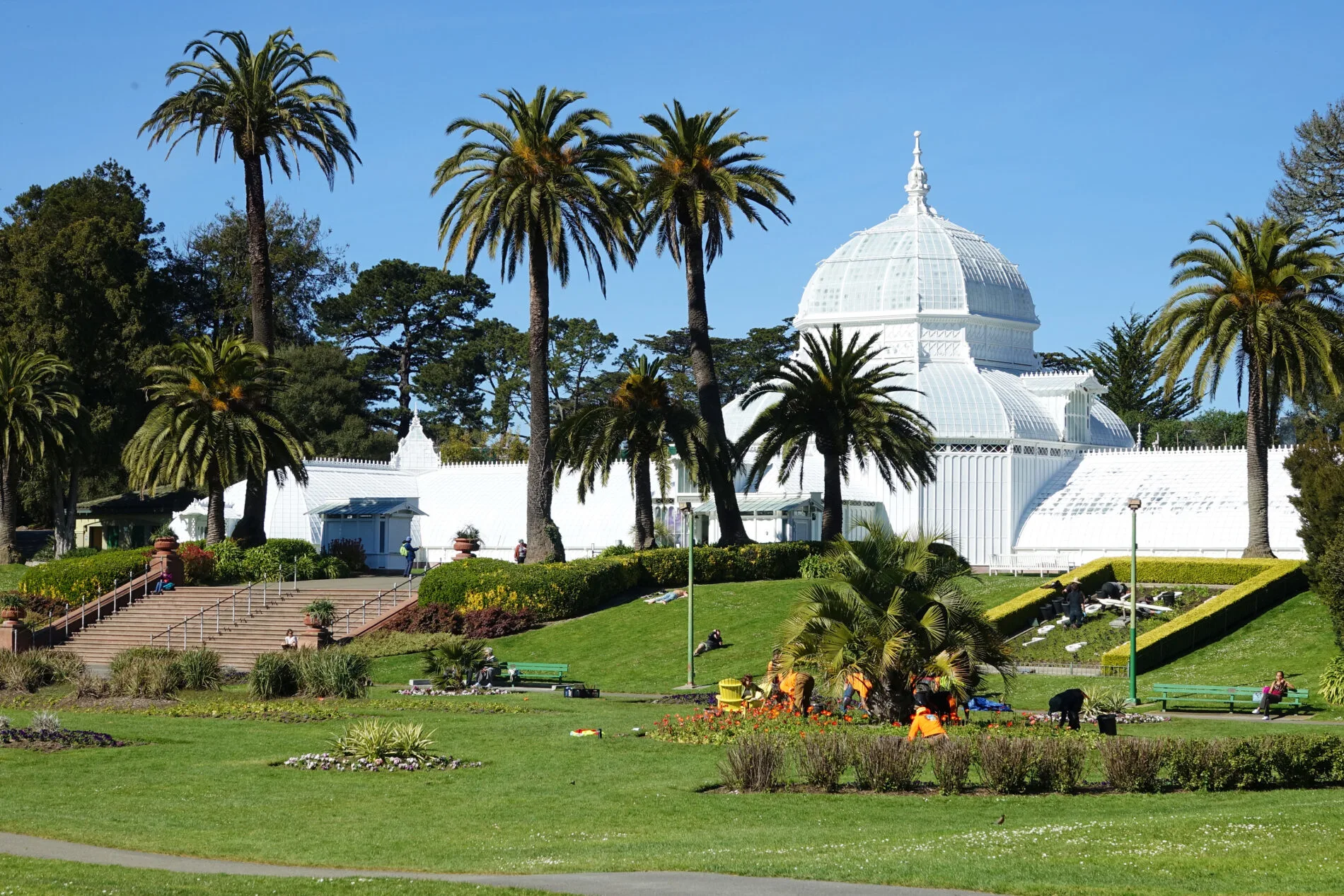 The Conservatory of Flowers is a beautiful glass and wood greenhouse with a great collection of rare and exotic plants.