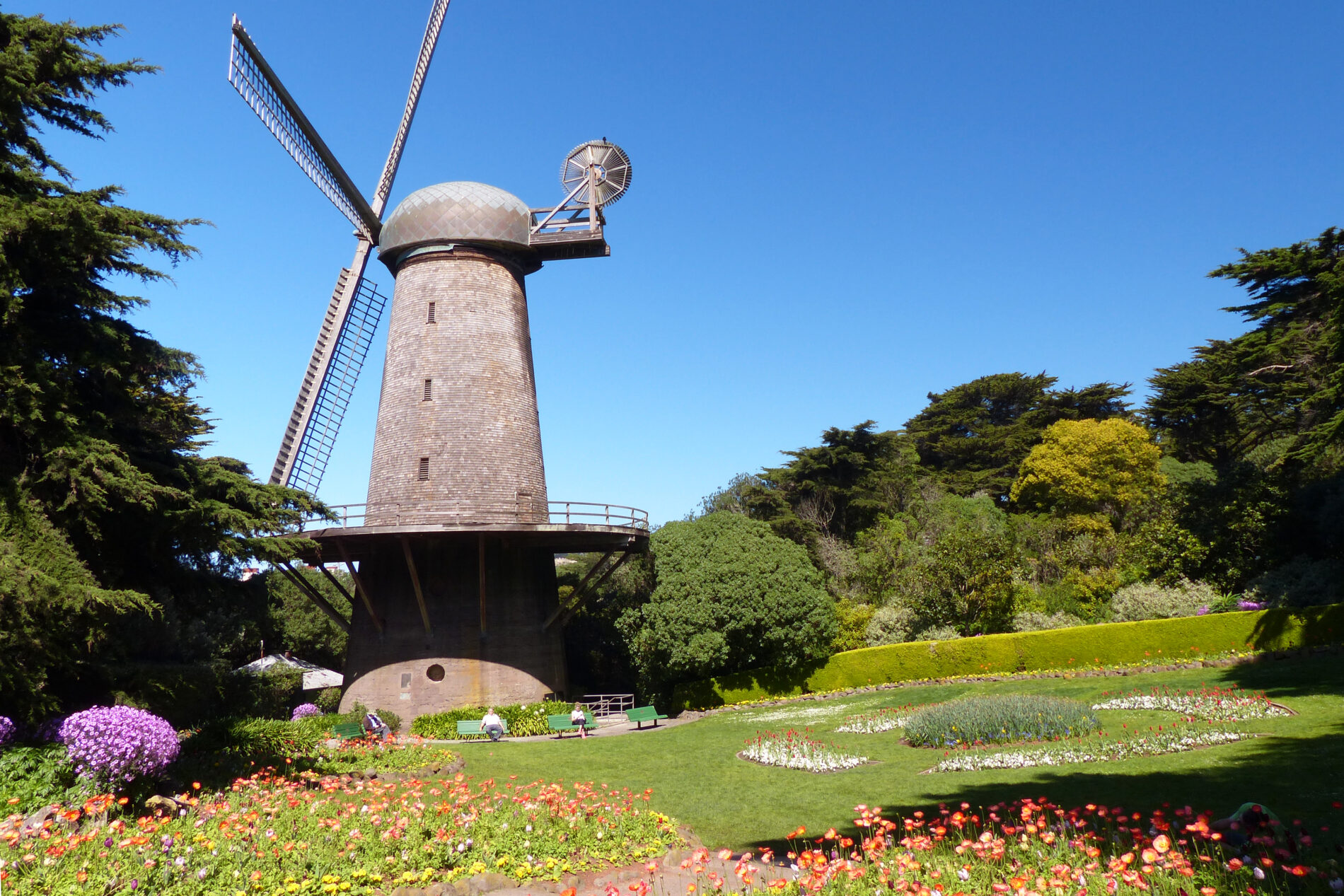 Queen Wilhelmina tulip garden and Old Dutch Windmill in Golden Gate Park.