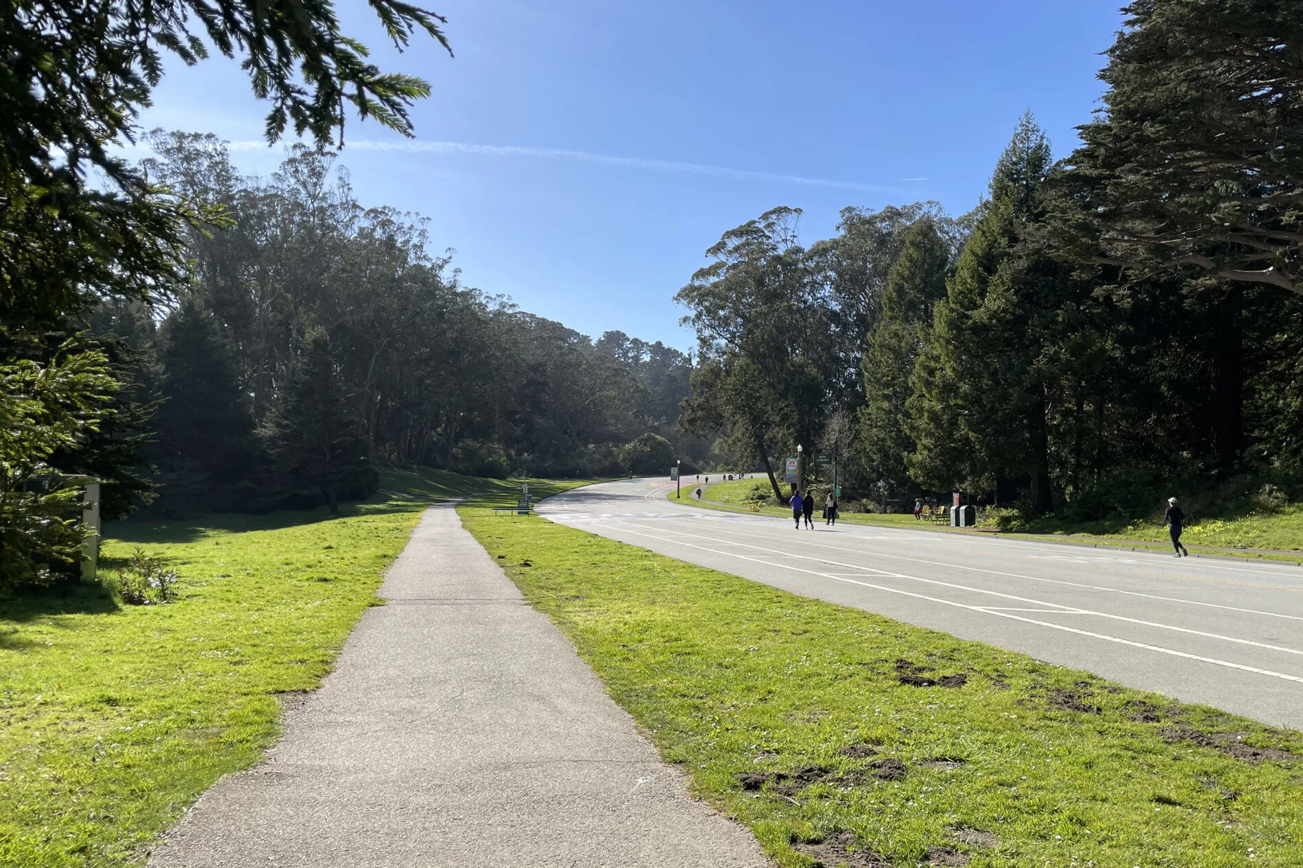 Paved trail alongside JFK Promenade in Golden Gate Park.