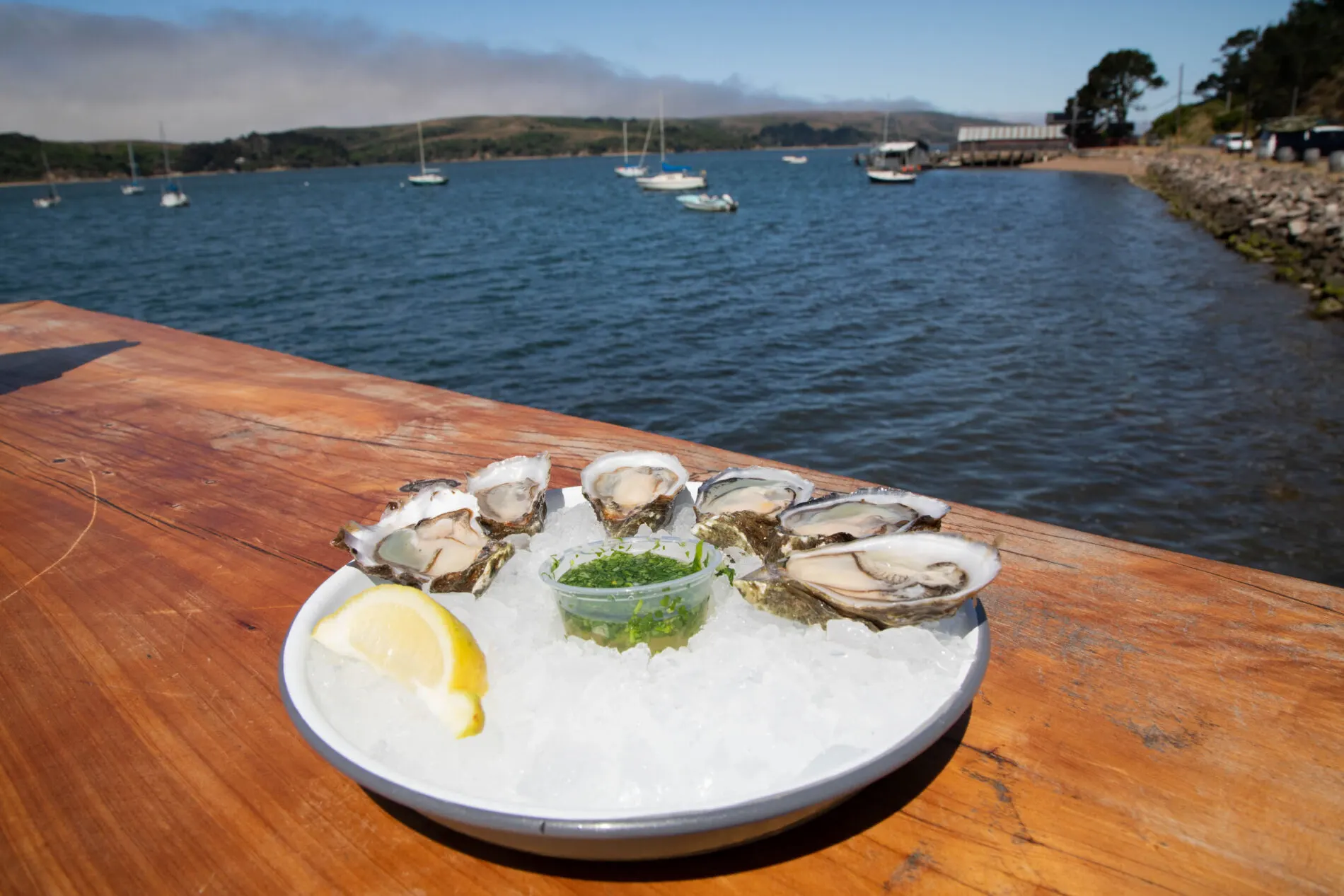 The oysters at the Marshall Store are worth making a stop on the PCH.