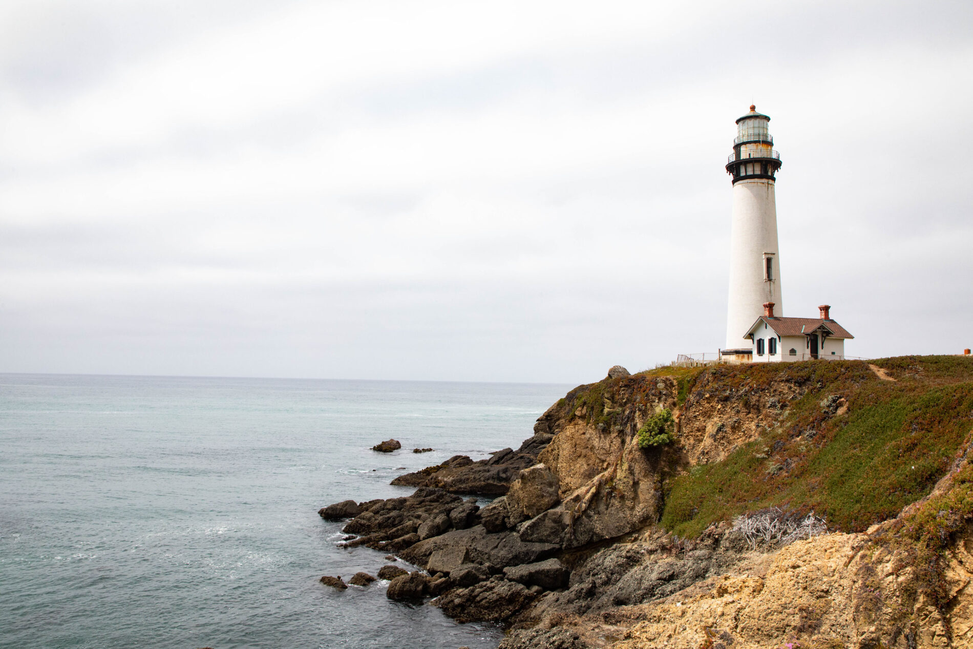 Along Pacific Highway 1, you will have great views, like this one of Pigeon Point Lighthouse.