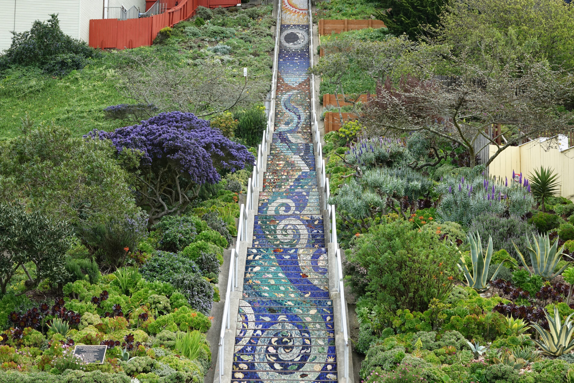 Mosaic tiles create an amazing Sea to Sun mural on the 16th avenue tiled steps in San Francisco.