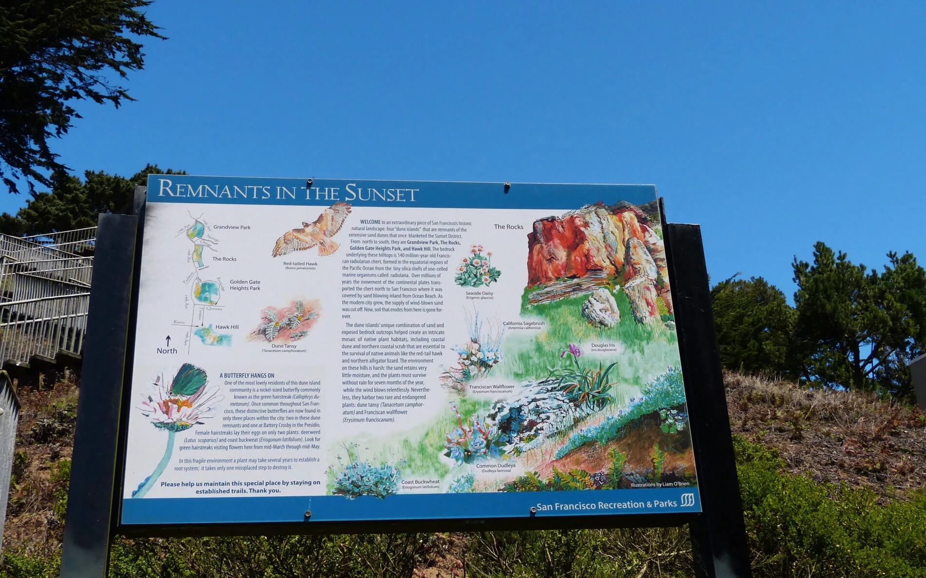 San Francisco Park’s sign provides information about the local flora and fauna in Grandview Park.