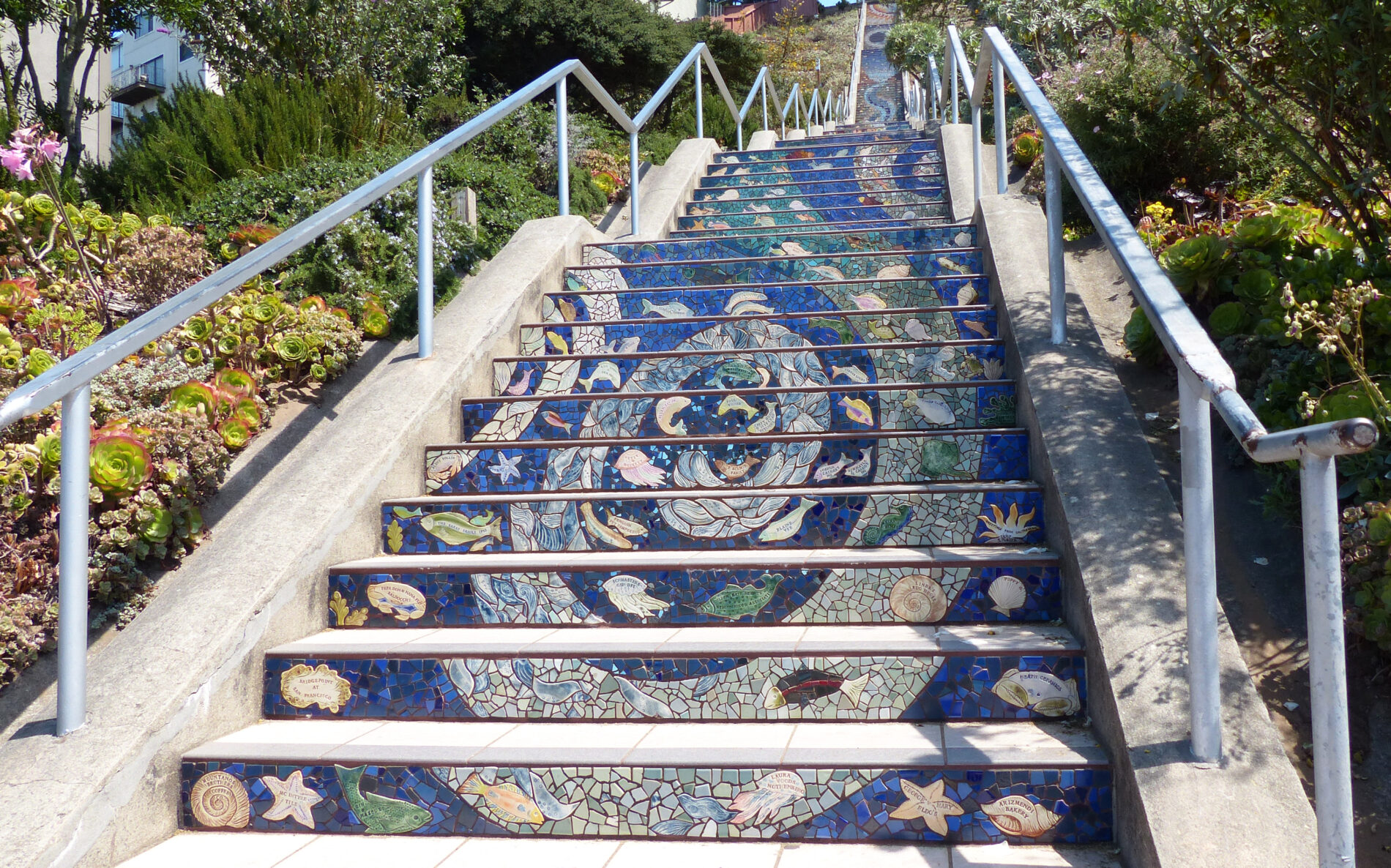 A closeup view of the ocean scene with sea creatures in the mosaic tiles on Moraga Steps in San Francisco.