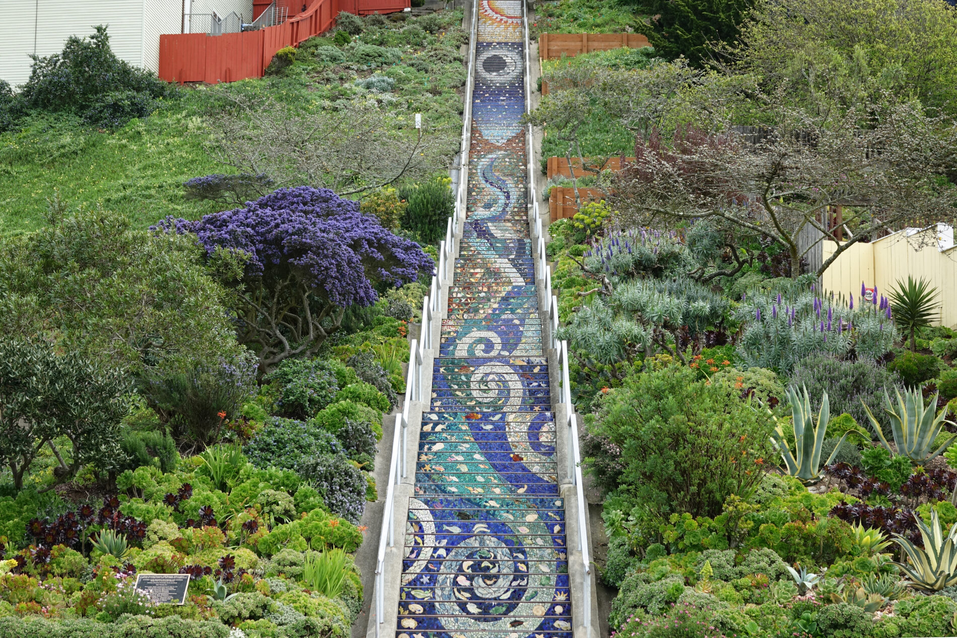 An amazing Sea to Sun mosaic tile mural on the 16th Avenue tiled steps in San Francisco.
