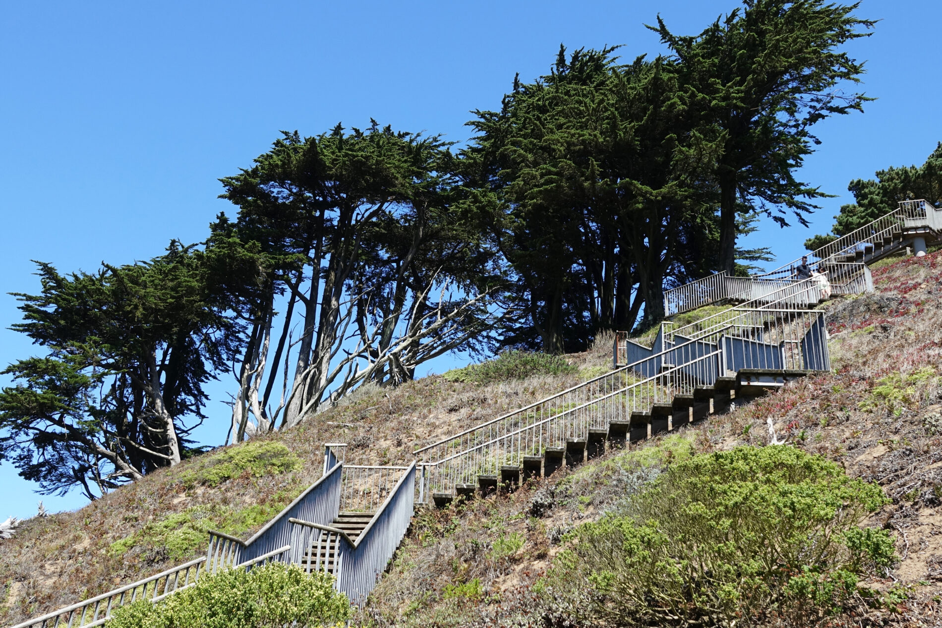 Wooden stairs zigzagging up Turtle Hill to Grandview Park in San Francisco.
