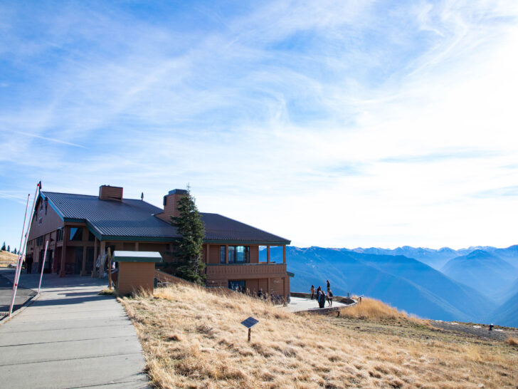 Hurricane Ridge visitor center looking out to the Olympic Range.