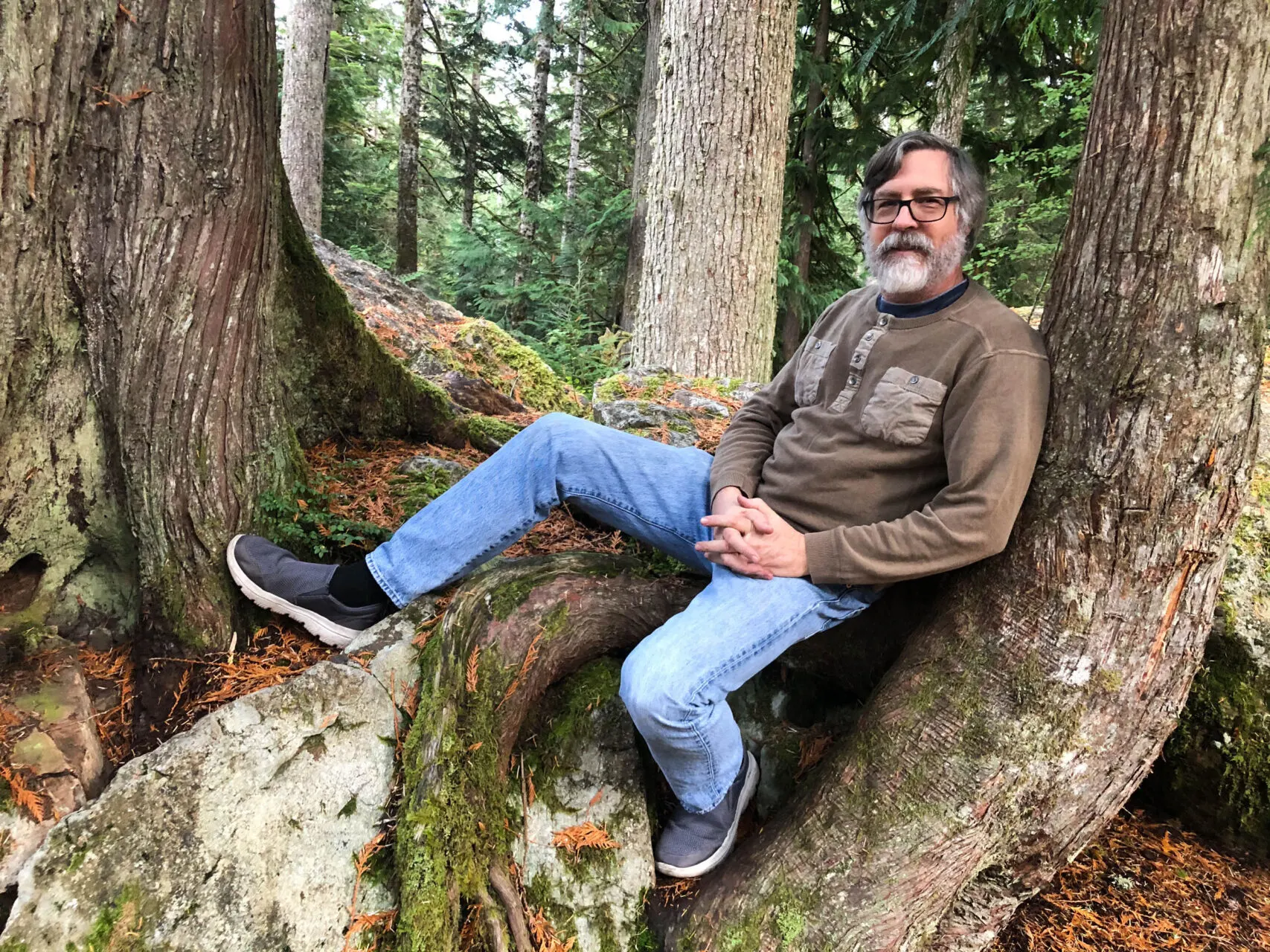 Jim in a tree in Olympic National Park.