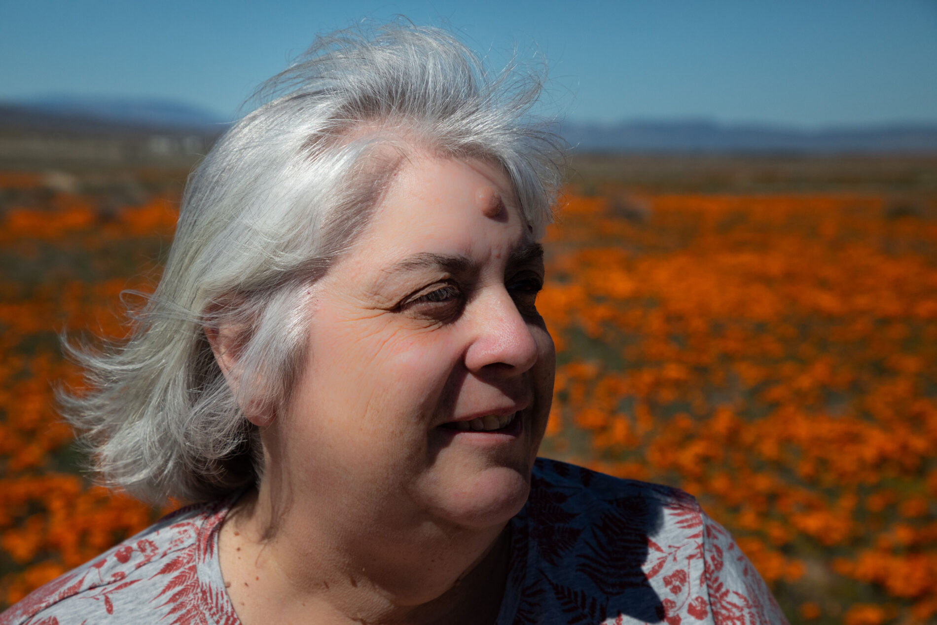 Corinne can't get enough of these beautiful Golden State Poppies at Antelope Valley California Poppy Reserve.