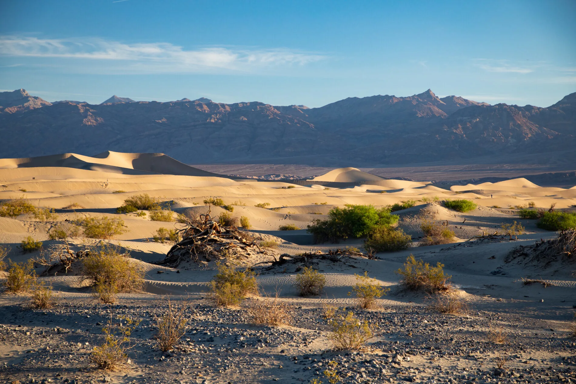Mesquite Flat Sand Dunes is a popular area for hiking in Death Valley National Park.