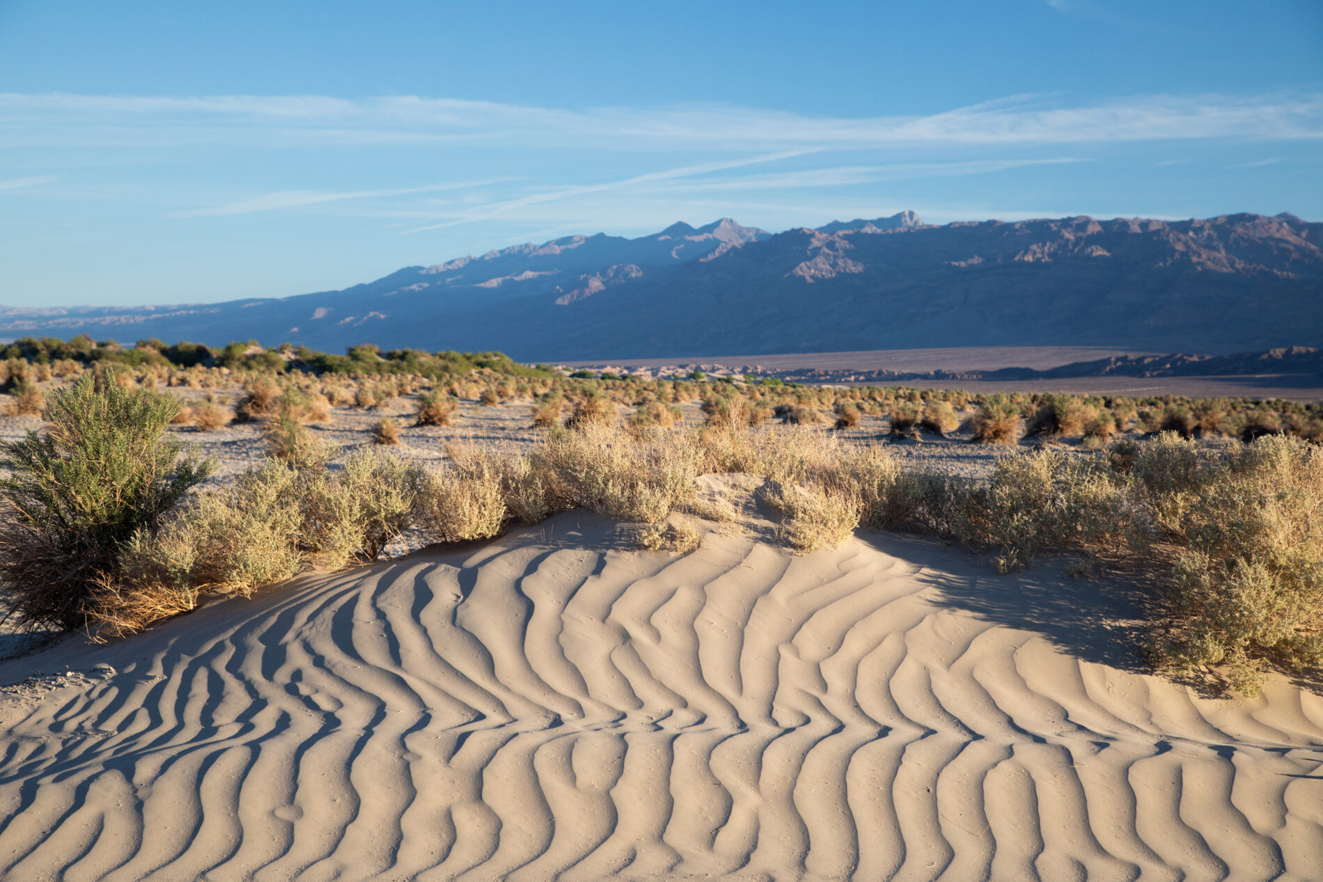 Mesquite Flats Sand Dunes shining in the morning sun, one of the best times to do to Death Valley National Park.