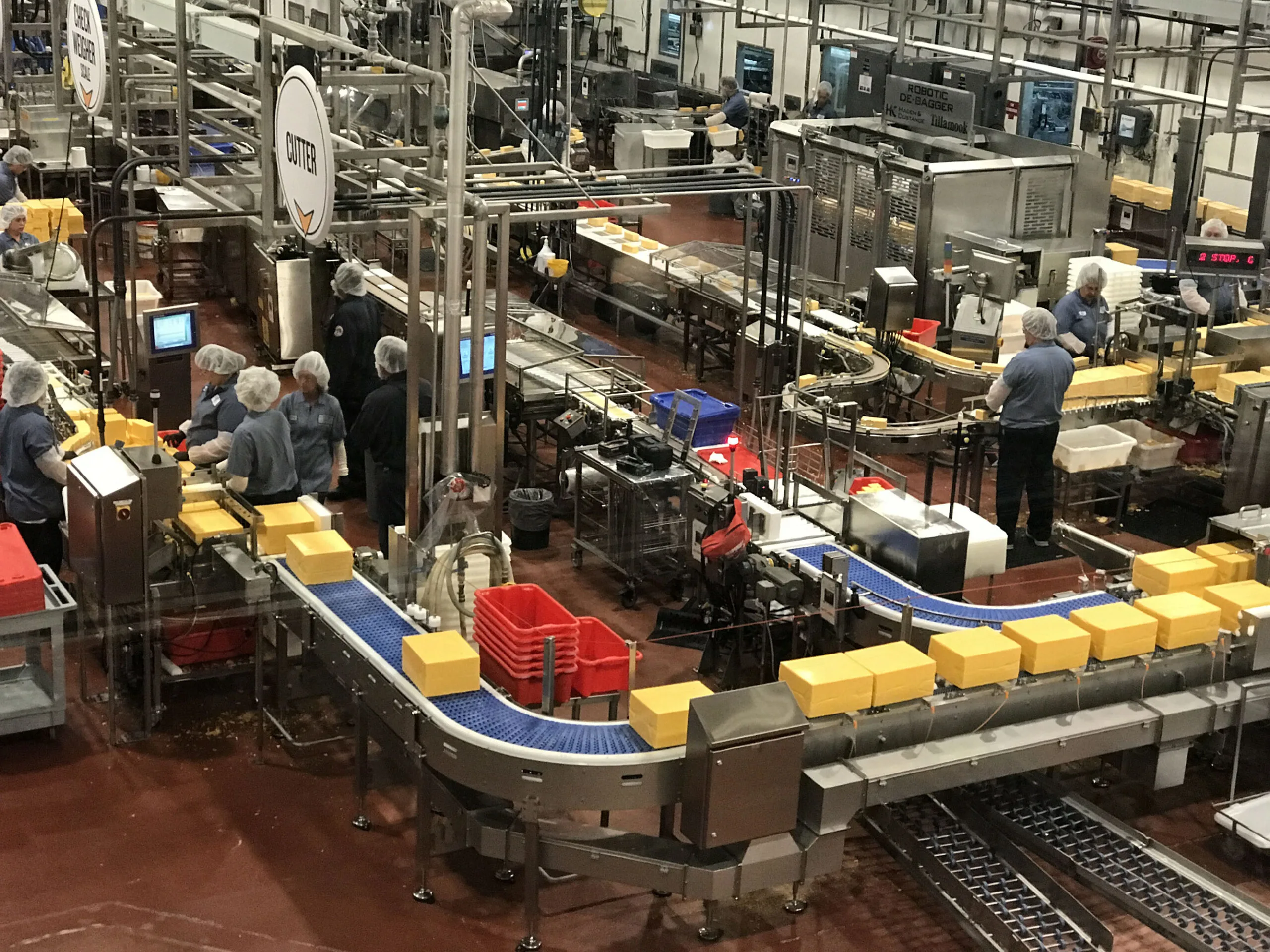Blocks of Tillamook cheese go by on the production line.