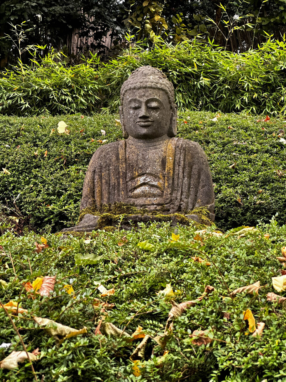 A picturesque Buddha.