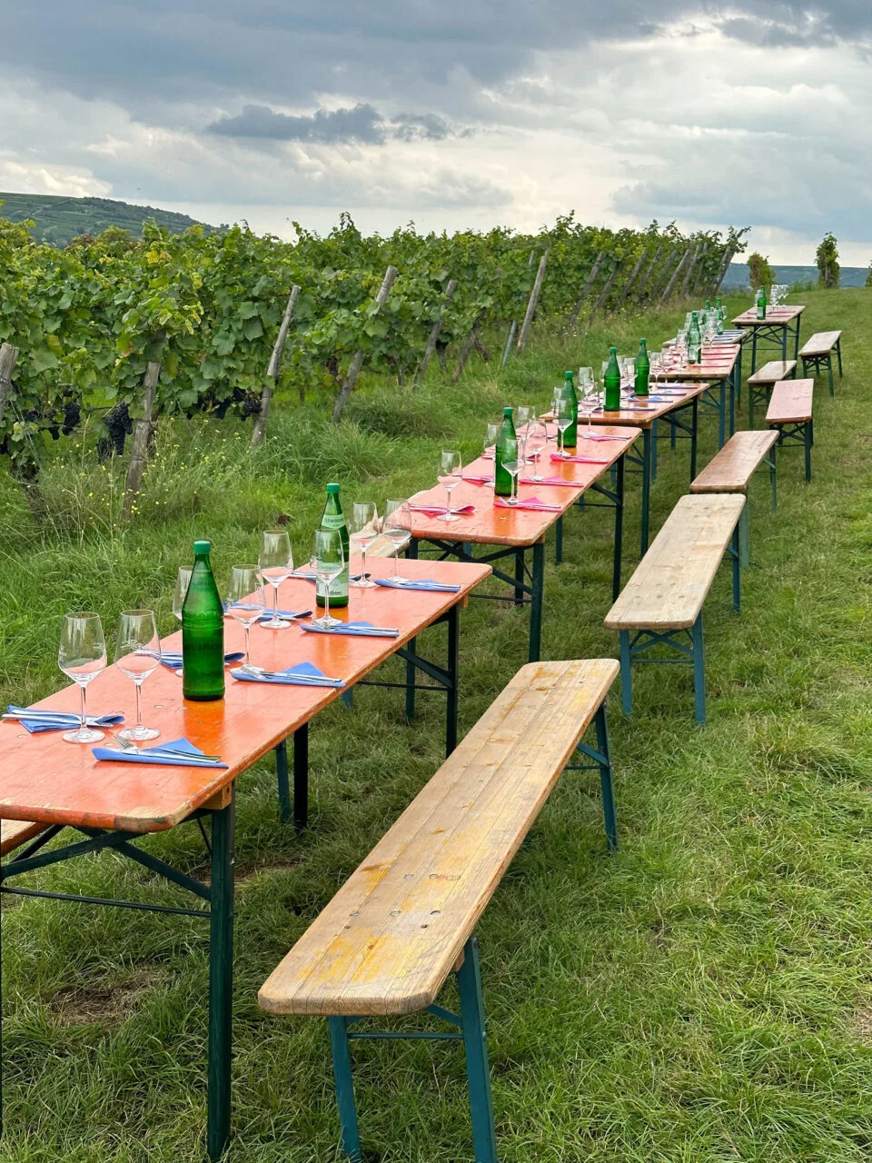 Tables set up for having lunch in the vineyard.